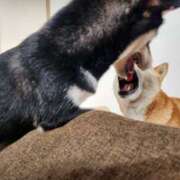 ヒメ日記 2025/06/20 08:16 投稿 上川いつき 宇都宮CLUB