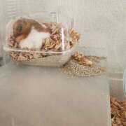 ヒメ日記 2025/06/23 11:26 投稿 上川いつき 宇都宮CLUB