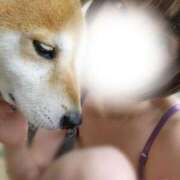 ヒメ日記 2025/07/31 22:46 投稿 上川いつき 宇都宮CLUB