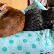 ヒメ日記 2025/08/01 09:16 投稿 上川いつき 宇都宮CLUB