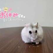 ヒメ日記 2025/10/01 09:06 投稿 上川いつき 宇都宮CLUB