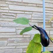 ヒメ日記 2025/10/24 20:06 投稿 上川いつき 宇都宮CLUB