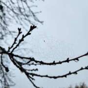 ヒメ日記 2025/10/27 09:16 投稿 上川いつき 宇都宮CLUB