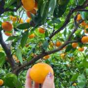 ヒメ日記 2025/11/24 17:56 投稿 上川いつき 宇都宮CLUB