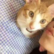 ヒメ日記 2025/11/28 09:46 投稿 上川いつき 宇都宮CLUB