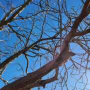 ヒメ日記 2025/11/29 08:56 投稿 上川いつき 宇都宮CLUB