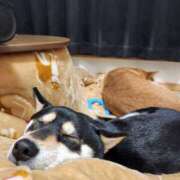 ヒメ日記 2026/01/11 11:26 投稿 上川いつき 宇都宮CLUB