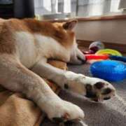 ヒメ日記 2026/03/15 23:30 投稿 上川いつき 宇都宮CLUB