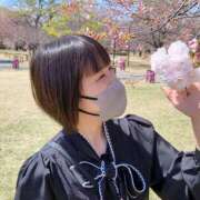 ヒメ日記 2026/04/01 10:10 投稿 上川いつき 宇都宮CLUB