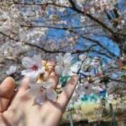 ヒメ日記 2026/04/02 08:40 投稿 上川いつき 宇都宮CLUB