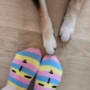 ヒメ日記 2026/04/04 12:01 投稿 上川いつき 宇都宮CLUB