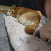 ヒメ日記 2026/04/08 06:50 投稿 上川いつき 宇都宮CLUB