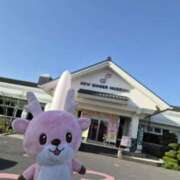 ヒメ日記 2026/04/13 06:40 投稿 上川いつき 宇都宮CLUB