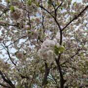 ヒメ日記 2026/04/15 09:30 投稿 上川いつき 宇都宮CLUB