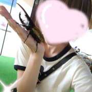 ヒメ日記 2026/07/17 09:40 投稿 上川いつき 宇都宮CLUB