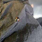 ヒメ日記 2025/06/28 13:06 投稿 桃花あいり 宇都宮CLUB