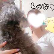 ヒメ日記 2025/06/29 23:36 投稿 桃花あいり 宇都宮CLUB