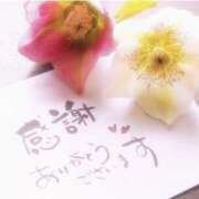 ヒメ日記 2026/04/19 13:30 投稿 立花みさと 宇都宮CLUB