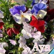 ヒメ日記 2025/04/11 19:16 投稿 沢田あや 宇都宮CLUB