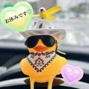 ヒメ日記 2025/06/11 09:36 投稿 沢田あや 宇都宮CLUB