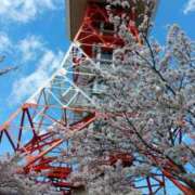 ヒメ日記 2025/04/15 12:06 投稿 吉高ゆりこ 宇都宮CLUB