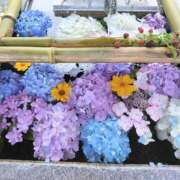 ヒメ日記 2025/06/11 13:46 投稿 吉高ゆりこ 宇都宮CLUB