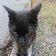 ヒメ日記 2025/06/18 15:16 投稿 吉高ゆりこ 宇都宮CLUB