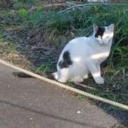 ヒメ日記 2025/06/22 12:26 投稿 吉高ゆりこ 宇都宮CLUB