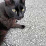 ヒメ日記 2025/07/08 10:56 投稿 吉高ゆりこ 宇都宮CLUB