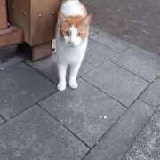 ヒメ日記 2025/07/16 12:16 投稿 吉高ゆりこ 宇都宮CLUB