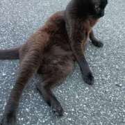 ヒメ日記 2025/07/22 10:16 投稿 吉高ゆりこ 宇都宮CLUB