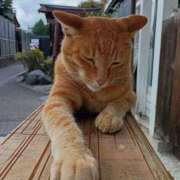 ヒメ日記 2025/08/14 20:16 投稿 吉高ゆりこ 宇都宮CLUB