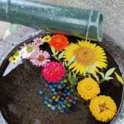 ヒメ日記 2025/08/31 12:07 投稿 吉高ゆりこ 宇都宮CLUB