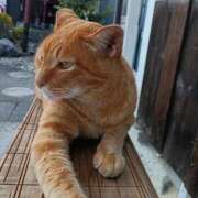 ヒメ日記 2025/08/31 23:26 投稿 吉高ゆりこ 宇都宮CLUB