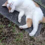 ヒメ日記 2025/09/06 11:56 投稿 吉高ゆりこ 宇都宮CLUB