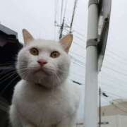 ヒメ日記 2025/12/19 12:46 投稿 吉高ゆりこ 宇都宮CLUB