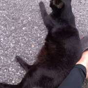 ヒメ日記 2026/02/18 11:20 投稿 吉高ゆりこ 宇都宮CLUB