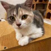 ヒメ日記 2025/07/07 15:00 投稿 あずさ カワサキEROTIC（ソープランド）