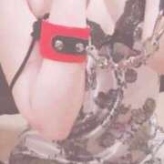 ヒメ日記 2025/04/06 11:52 投稿 かなの sakura