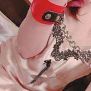 ヒメ日記 2025/05/09 10:42 投稿 かなの sakura