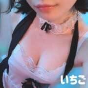 ヒメ日記 2025/04/13 09:05 投稿 いちご♪ プリティーガール