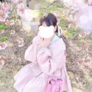 ヒメ日記 2025/04/06 11:46 投稿 つばさ One More 奥様　西船橋店