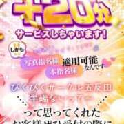 ヒメ日記 2025/11/25 09:41 投稿 らいむ びくびくサークル五反田店