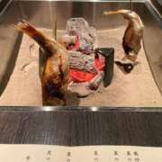 ヒメ日記 2025/04/24 17:45 投稿 ひめか びくびくサークル五反田店