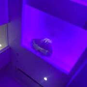 ヒメ日記 2025/06/29 22:41 投稿 ひめか びくびくサークル五反田店