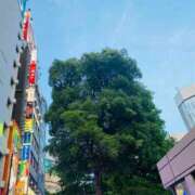 ヒメ日記 2025/07/20 16:53 投稿 ひめか びくびくサークル五反田店