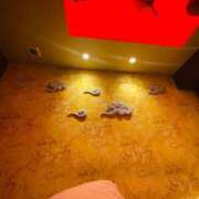 ヒメ日記 2025/07/23 20:01 投稿 ひめか びくびくサークル五反田店