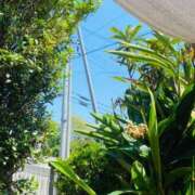 ヒメ日記 2025/08/19 12:41 投稿 ひめか びくびくサークル五反田店