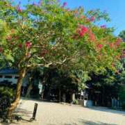 ヒメ日記 2025/08/19 18:01 投稿 ひめか びくびくサークル五反田店