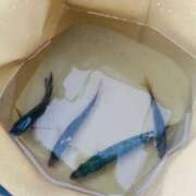 ヒメ日記 2025/08/20 05:21 投稿 ひめか びくびくサークル五反田店